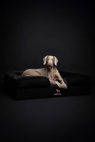 NOAH & PAW XL Dog Bed, 45x35x11 Inch, Orthopedic Large Dog Beds, Eggshell Memory Foam Infused with Cooling Gel, Inner Cover, Water Resistant, Machine Washable (Denim Sofa Collection)