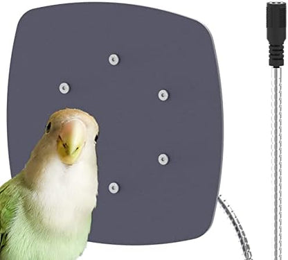 Bird Heater, Thermostatical Bird Warmer for Parakeets, IP67 Waterproof Bird Accessories and Supplies, 12V