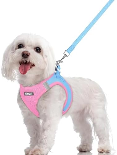 rabbitgoo Dog Harness Medium Sized and Leash Set, Step-in Puppy Pet Vest