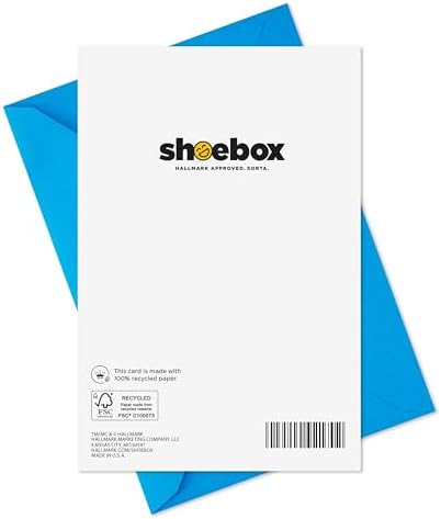 Hallmark Shoebox Funny Father's Day Card for Dad (Kick and Save Your Butt)