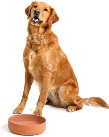 The Perfect Dish - Silicone Dog Bowl for Food & Water, 9.5"x2.5"-Terracotta
