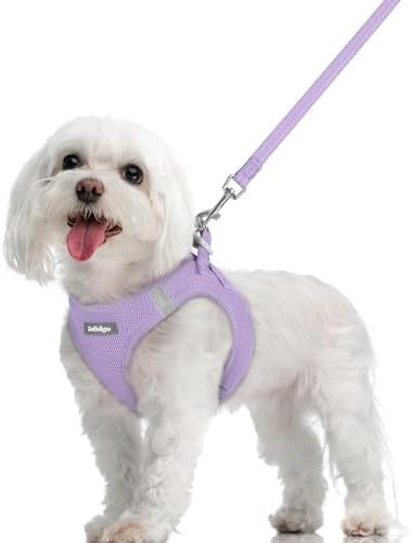 rabbitgoo Dog Harness Medium Sized and Leash Set, Step-in Puppy Pet Vest