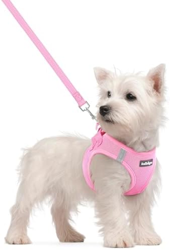 rabbitgoo Dog Harness Small Sized and Leash Set, Step-in Puppy Pet Vest