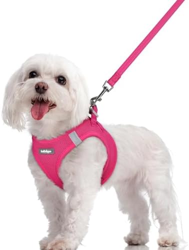 rabbitgoo Dog Harness Medium Sized and Leash Set, Step-in Puppy Pet Vest