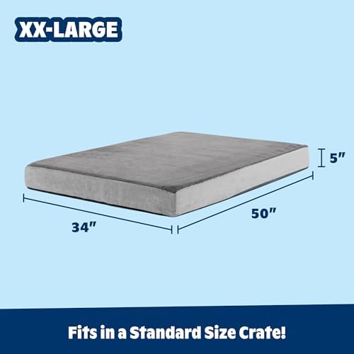 BarkBox Orthopedic Dog Bed - XXL