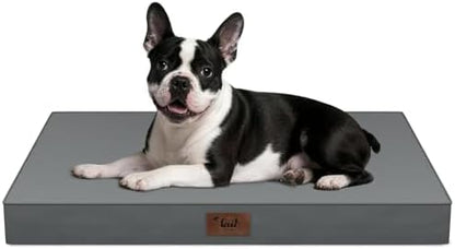 Orthopedic Waterproof Dog Bed for Small Dogs and Cats