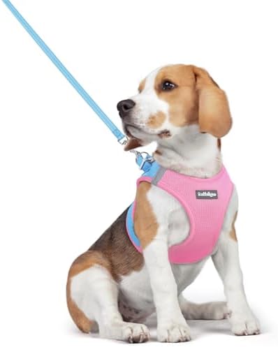 rabbitgoo Dog Harness Medium Sized and Leash Set, Step-in Puppy Pet Vest