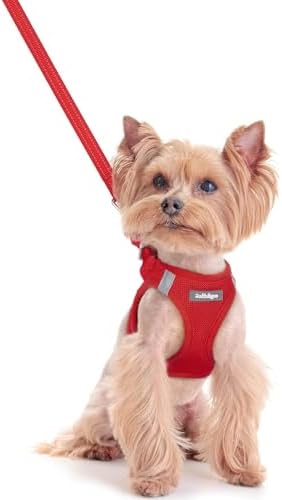 rabbitgoo Dog Harness Small Sized and Leash Set, Step-in Puppy Pet Vest