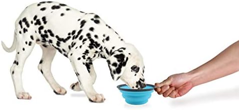 Dexas Popware for Pets Collapsible Travel Cup, Large, Gray/Blue