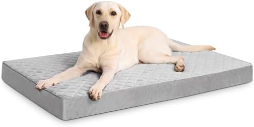 NUPIDA Orthopedic XL Dog Beds Large Sized with Washable Cover, 41x27, Grey