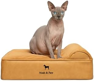 NOAH & PAW Small Dog Bed, 20x15x6.5 Inch, Cat Bed for Indoor Cats, Orthopedic Eggshell Memory Foam Infused with Cooling Gel, Water Resistant, Machine Washable, Includes Inner Cover (Faux Leather)