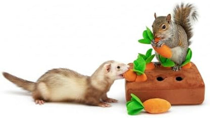 Ferret Foraging Toys Novelty Carrot Snuffle Mat Interactive Pet Treat Enrichment Toys for Small Animals Bunny Rabbit Chinchilla Guinea Pig Hamster (6Carrot)
