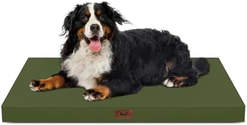 Outdoor Extra Large Dog Bed XXL for Giant Breed Dogs