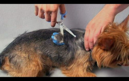 Silent Pet Grooming Kit for Dog, Cat and All Pet Grooming - A Quiet Alternative to Electric Clippers for Sensitive Pets (Left-Handed Blue)