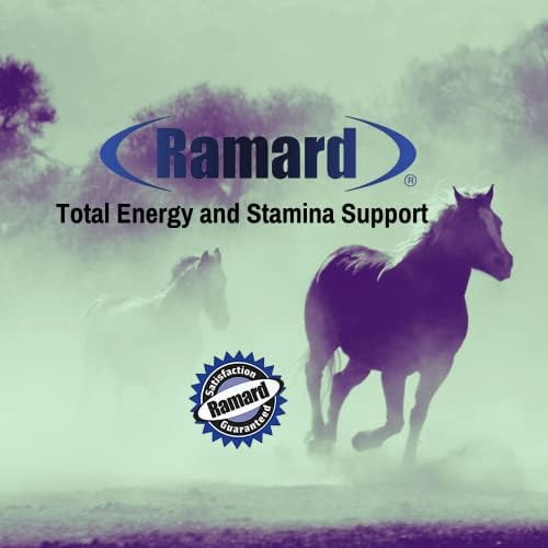 Ramard Total Energy and Stamina Support with B Vitamins & Amino Acids, Maximizes Oxygen Capacity, Peak Performance in Competition or Workouts, Powerful Vasodilator, Oral Gel, 15 cc Syringe, 1-Pack