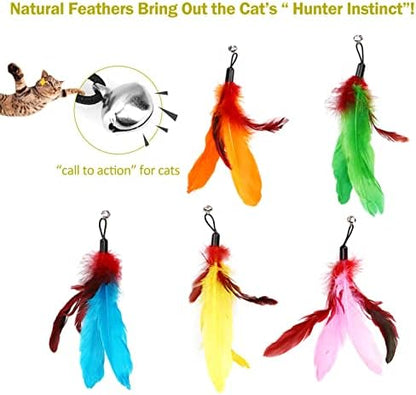 11PCS Cat Wand Attachments, 10 Cat Feather Toy Refills and 1 Spare String