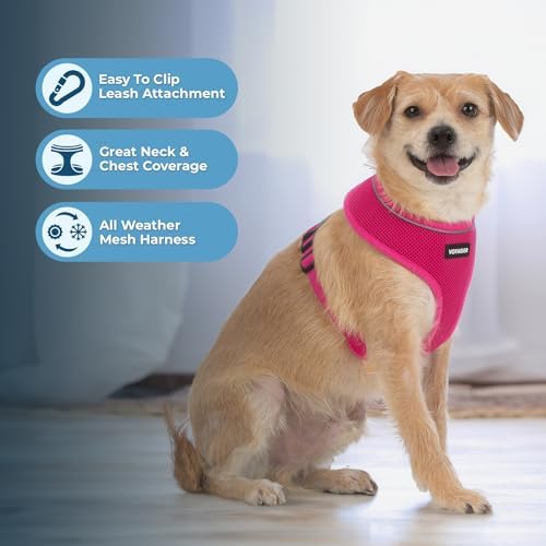 Best Pet Supplies Voyager Aerolite Over the Head Dog Harness, No Pull Breathable Air Mesh Vest, Quick Dry with Reflective Stitching, Adjustable Escape Resistant Harness - Fuchsia, Medium