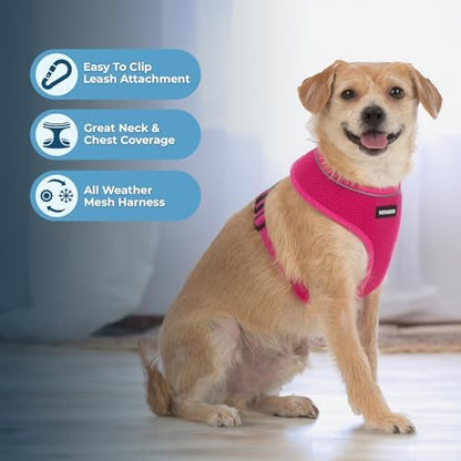 Best Pet Supplies Voyager Aerolite Over the Head Dog Harness, No Pull Breathable Air Mesh Vest, Quick Dry with Reflective Stitching, Adjustable Escape Resistant Harness - Fuchsia, Medium