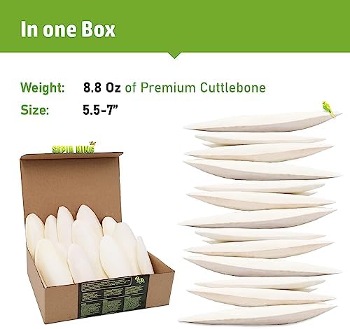 Sepia King - Large - 100% Natural Calcium Supplement - Premium Cuttlebone perfect for Birds, Tortoises, Snails, Reptiles - 5.5 to 7 inch