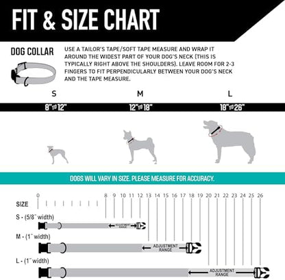 Wolfgang Wide Venture Dog Collar Losmuertos Print Medium