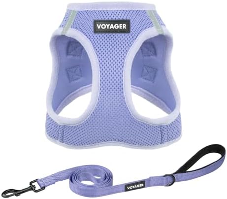Best Pet Supplies Voyager Step-in Air All Weather Mesh Harness and Reflective Dog 5ft Leash Combo with Neoprene Handle, for Small, Medium and Large Breed Puppies - Lavender, XL
