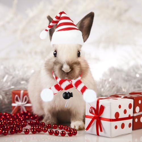 FOIMAS 12pcs Christmas Pet Chicken Hat Scarf Set Small Animal Hat Costume Set for Hen Duck Hamster Guinea Pig Rabbit Kitty Puppy Parrot Lizard Xmas Party Supply