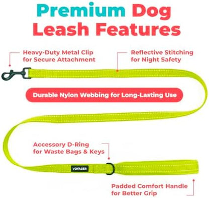 Best Pet Supplies Voyager Nylon Dog Leash - Lime Green, Medium