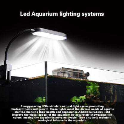 2.8 Gallon Glass Fish Tank,Small Fish Tank with Light and Filter