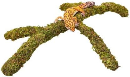 Leopard Gecko Tank Accessories, Adjustable Climbing Toys Supplies, Terrarium Habitat Decor