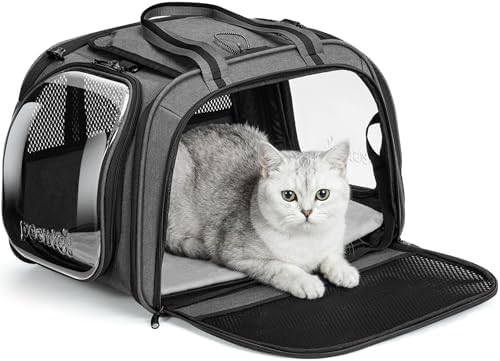 Pecute Cat Carrier,Double Bubble Pet Carrier for Cat Small Dogs,Gray M