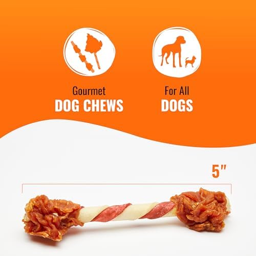 GOOD 'N' FUN Double Pops Long-Lasting Dog Treat with Real Protein, 5.5 oz