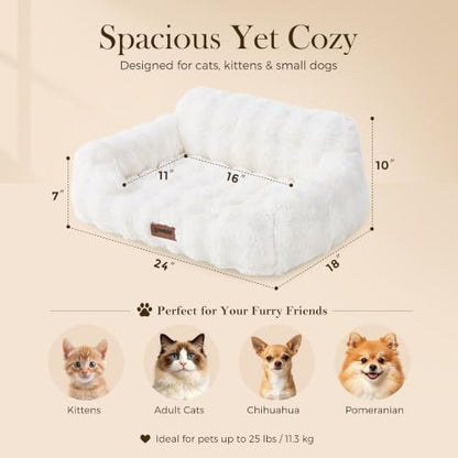 ZOMISIA Orthopedic Cat Couch Bed for Indoor Cats, Removable Washable Cover