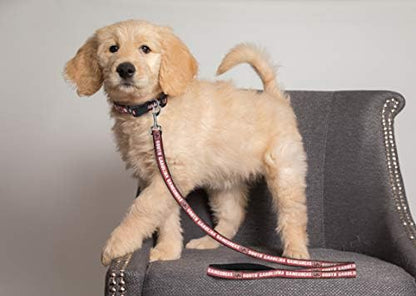 NCAA PET String, Medium, Souh Carolina Gamecocks, Dog String, Shiny & Colorful String for Dogs & Cats Licensed by The NCAA, Old Version