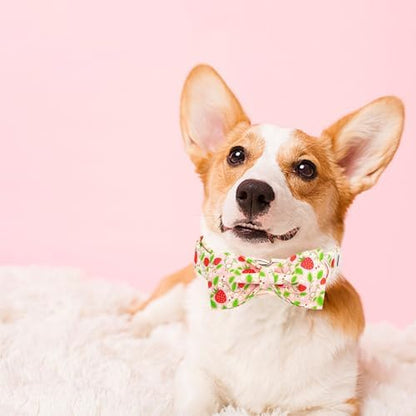 Dog Collar-Strawberry Print Adjustable Cute Pet Collar Soft Pink Dog Collars with Bow Tie Durable Cotton Metal Buckle Puppy Collar Gift for Small Dogs