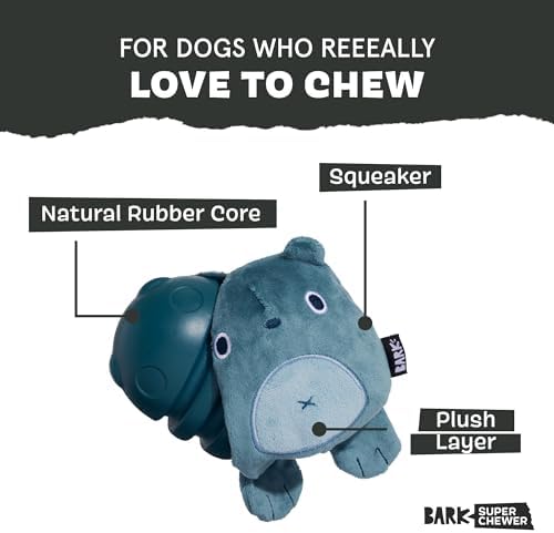BarkBox Bear Hugger Super Chewer - 2-in-1 - Toy for Large Dogs