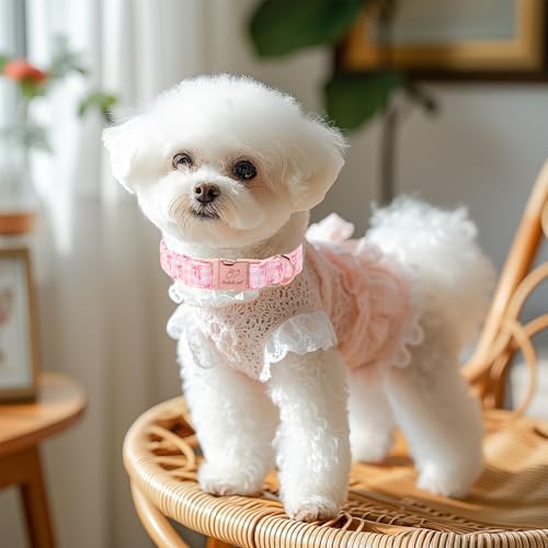 Girl Dog Collar, Sweetheart Girly Pink Bow Dog Collars, Adjustable Heavy Duty Spring/Summer Female Dogs Collar for Small Medium Large Dogs with Metal Buckle XL