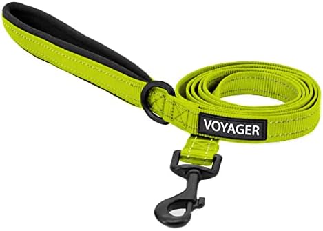Best Pet Supplies Voyager Nylon Dog Leash - Lime Green, Medium