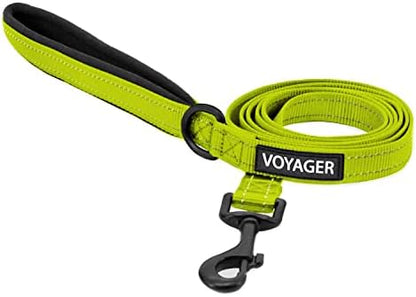 Best Pet Supplies Voyager Nylon Dog Leash - Lime Green, Medium
