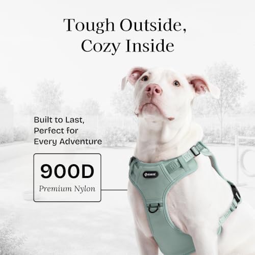 Fei & Eve Tactical Dog Harness, No Pull Dog Vest with Magnetic Buckle