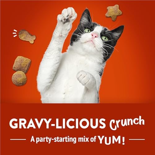 Friskies Purina Party Mix Gravylicious Crunch Cat Treats, 20 oz Pouch