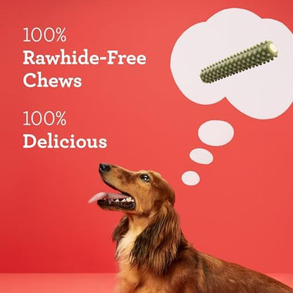 Dreambone Triple Action Dental Sticks Kelp, 6 Count, Rawhide-Free Chews for Large and XL Sized Dogs Freshens Breath