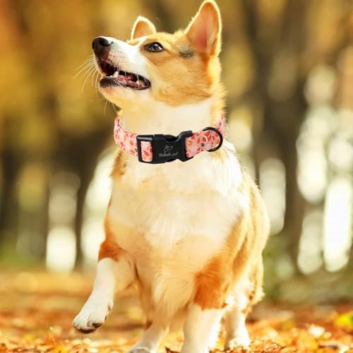 Fall Dog Collar, Cute Football Pattern Puppy Collar XS