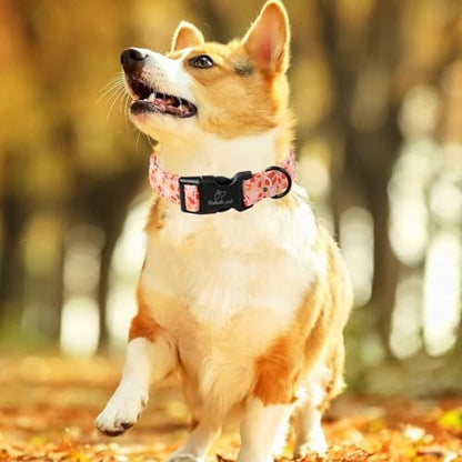 Fall Dog Collar, Cute Football Pattern Puppy Collar L