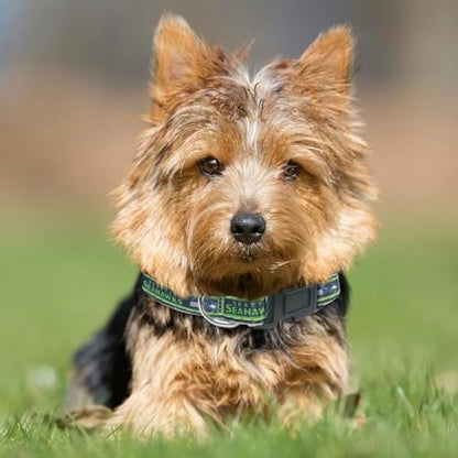 Pets First NFL Seattle Seahawks Licensed PET COLLAR, Extra Large - Heavy-Duty, Strong, and Durable Dog Collar. Available in 31 Football Teams and 4 Sizes