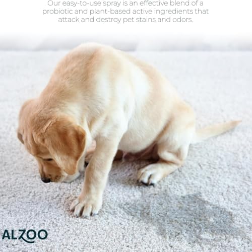 ALZOO Concentrated Pet Stain & Odor Remover Refill, Makes Up to 96 Fl Oz Cleaning Solution, Enzyme & Probiotic Formula, Refill Bottles for Dogs & Cats, 1.1 Fl Oz (Pack of 3)