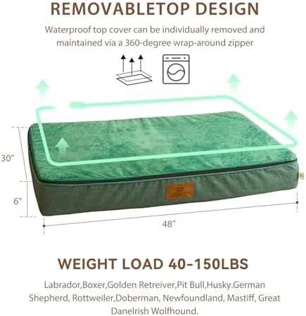 LIORCE Orthopedic Memory Foam XXL Dog Bed - 6" Thick Beds for Extra Large Sized Dog - Waterproof Removable Washable Cover & Wrap-Around Zipper - Ultimate Comfort & Easy Maintenance, Green
