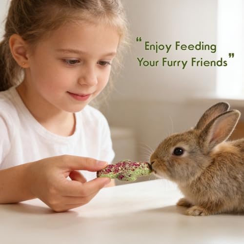 Abizoo Rabbit Chew Toys 9 Pack, Natural Timothy Hay Oat Bunny Treats Snacks