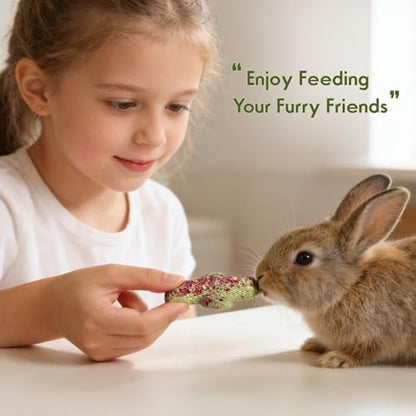 Abizoo Rabbit Chew Toys 9 Pack, Natural Timothy Hay Oat Bunny Treats Snacks