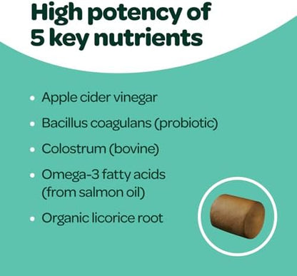 Dog Allergy Chews with Probiotics | Seasonal Allergy Chews for Dogs with Wild Alaskan Salmon Oil & Colostrum | Environmental Dog Allergy Support | NASC Certified & Made in the USA | 60 Chews