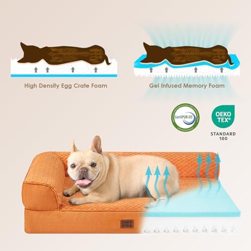 EHEYCIGA Orthopedic Dog Bed Medium Size, Memory Foam Dog Bed, Pumpkin